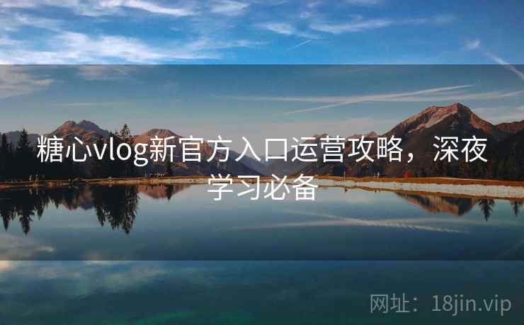 糖心vlog新官方入口运营攻略,深夜学习必备
