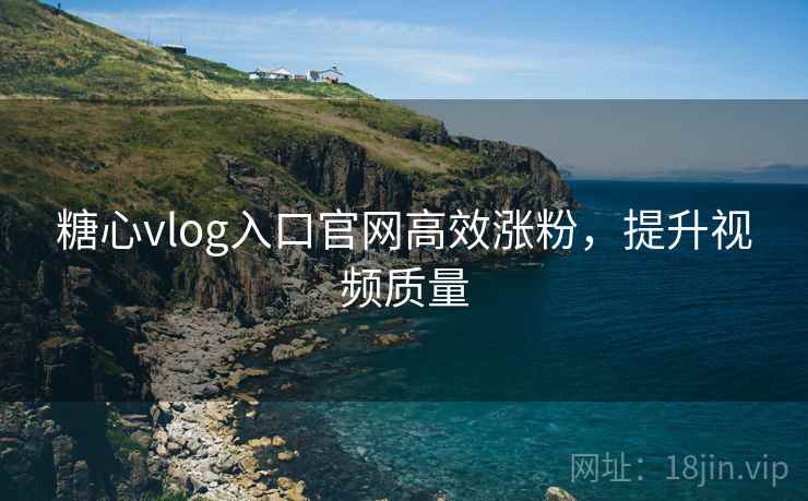 糖心vlog入口官网高效涨粉，提升视频质量