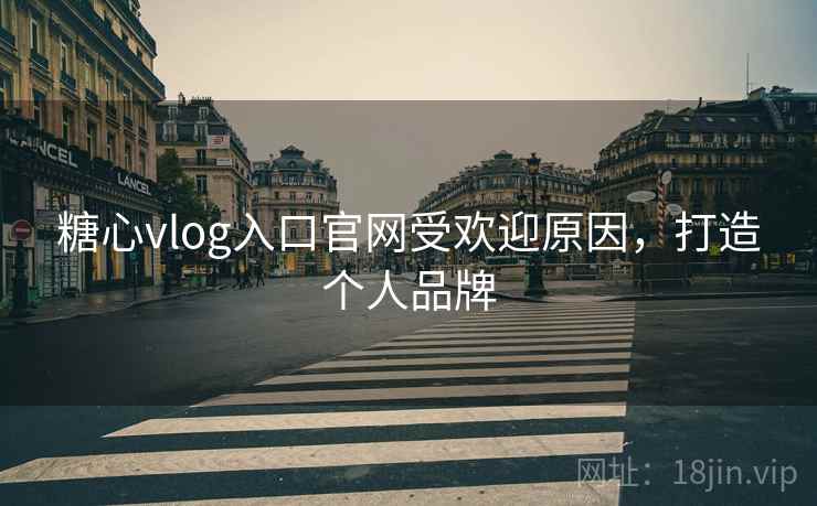 糖心vlog入口官网受欢迎原因，打造个人品牌